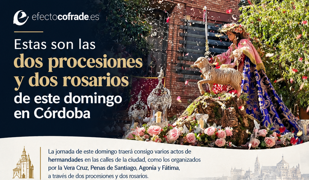 Infografía 2